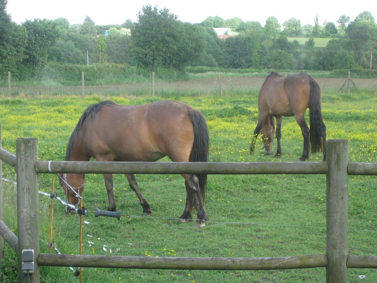 Chambre D'Hotes Proche Puy Du Fou Le Pin  Buitenkant foto